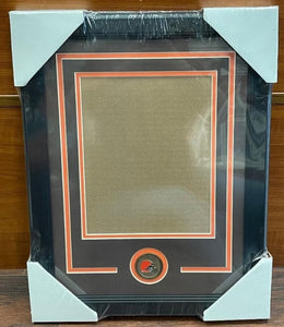 Cleveland Browns Vertical 16x20 Photo Frame