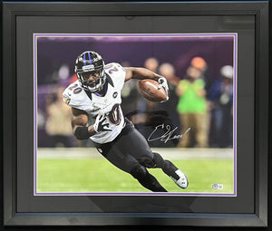 Ed Reed Autographed & Framed 16X20 Photo